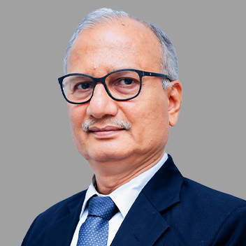Mr. Mulesh Manilal Savla